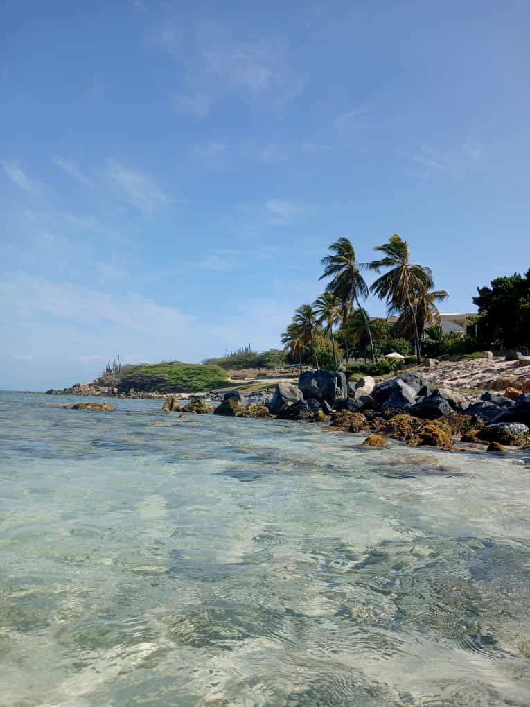 Aruba heeft prachtige stranden.