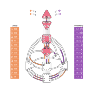 Human Design chart met energiecentra, kanalen en autoriteit – visuele uitleg van het Human Design systeem