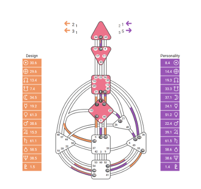 Human Design chart met energiecentra, kanalen en autoriteit – visuele uitleg van het Human Design systeem
